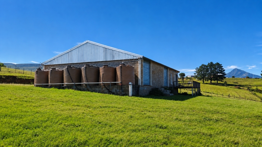 Commercial Property for Sale in Friemersheim Western Cape